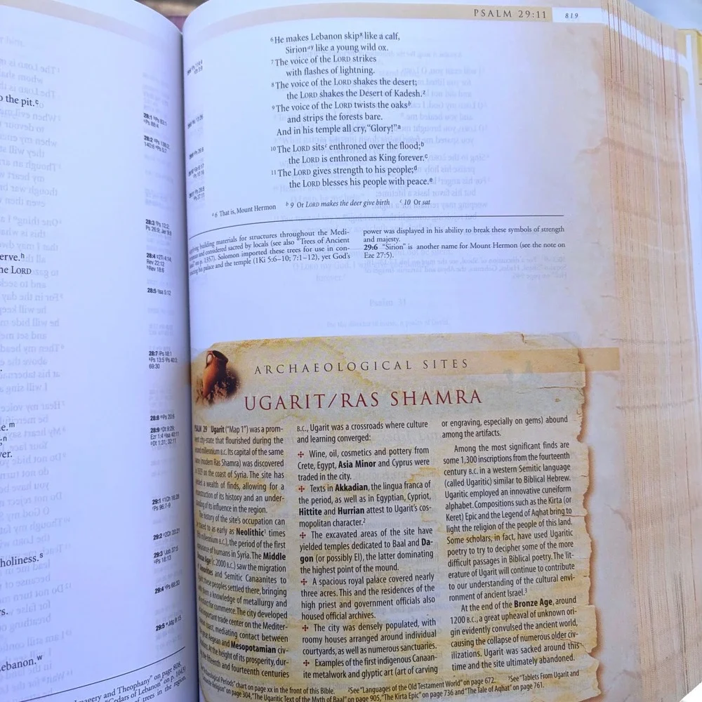 NIV Archaeological Study Bible Hardcover Zondervan Illustrated History Culture